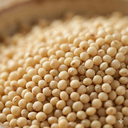 Barnyard Millet