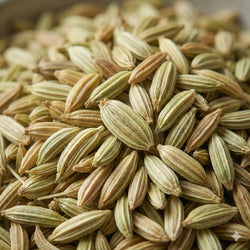 Fennel Seeds