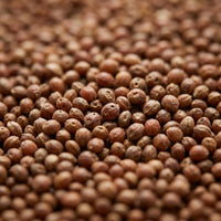 Kodo Millet