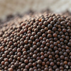 Mustard Seeds