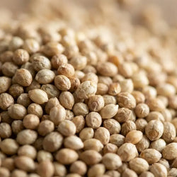 Pearl Millet