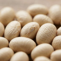White Soya Bean