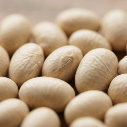 White Soya Bean